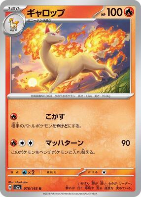 Rapidash
