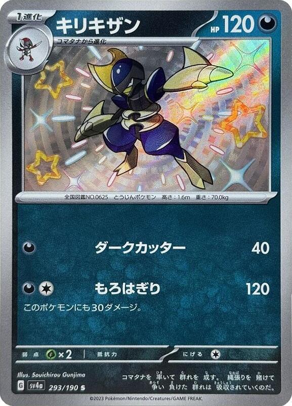 Bisharp - 293/190