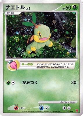 Turtwig