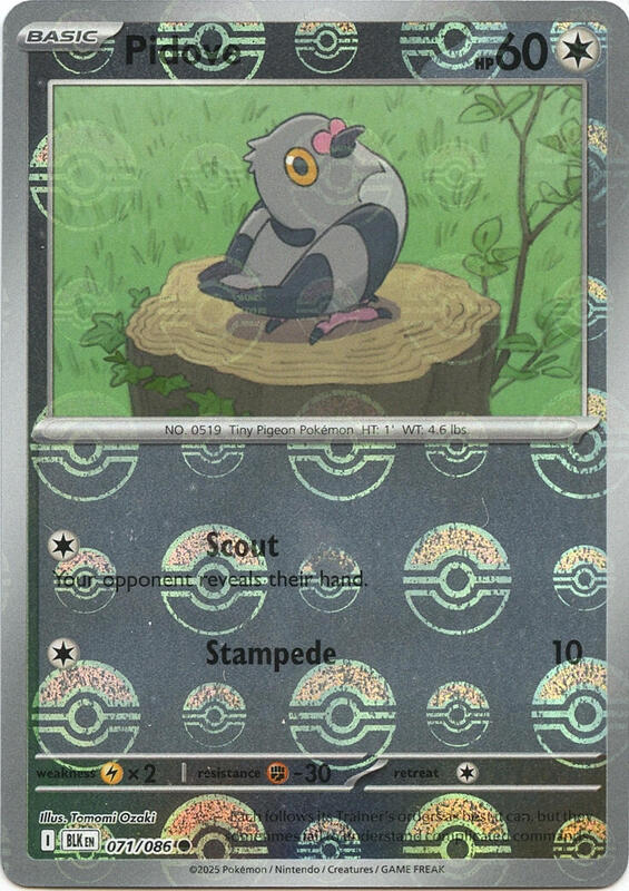 Pidove (Poke Ball Pattern)