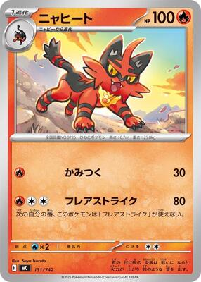 Torracat