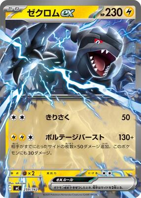 Zekrom ex