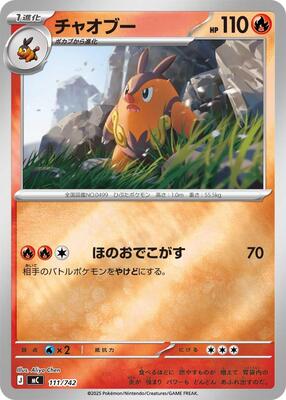 Pignite - 111/742 (Mirror Holo)