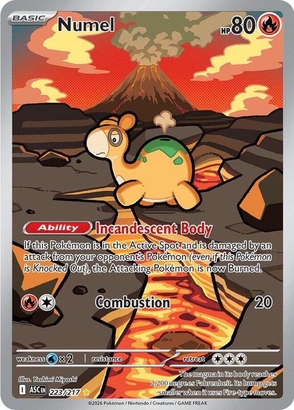 Numel - 223/217