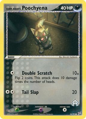 Team Aqua's Poochyena - 54/95